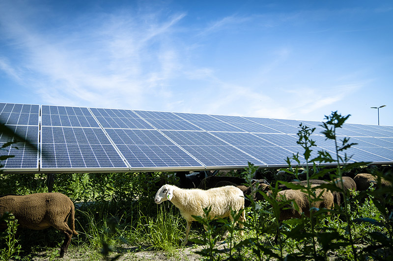 Wien Energie baut Stellung als größter Solarkraftbetreiber aus
